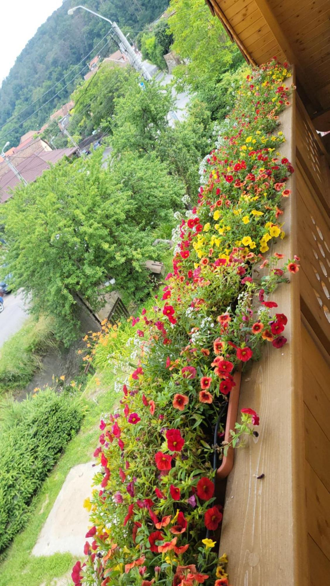Casa Hetrea Villa Sighisoara Bagian luar foto